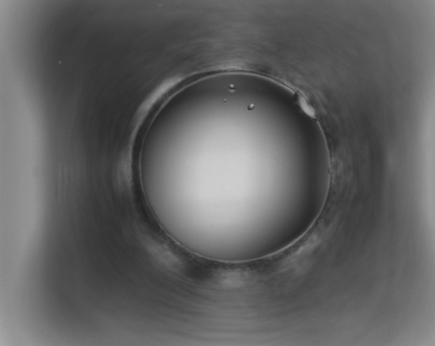 X0000113910200200909241516