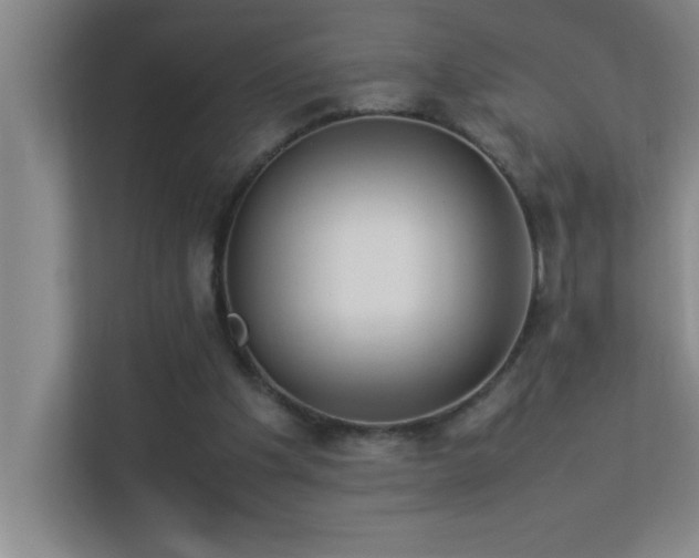 X0000113910201200909241516