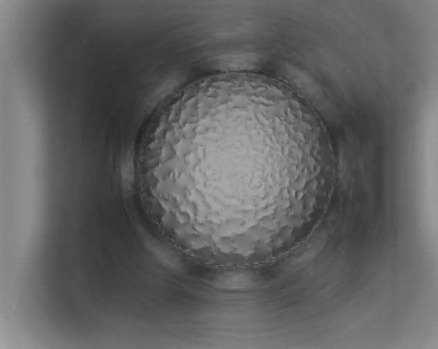 X0000113910202200909241516
