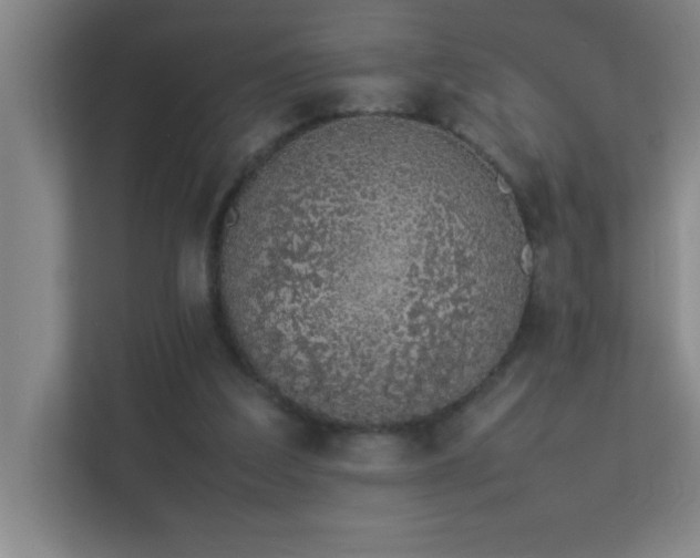 X0000113910203200909241516