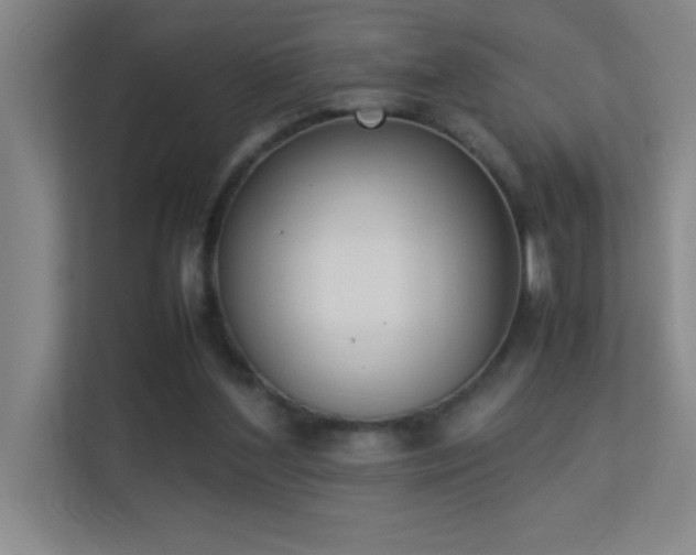 X0000113910204200909241516
