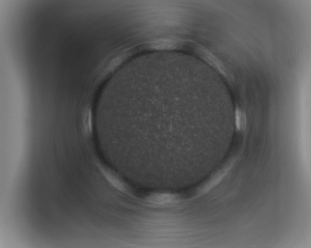 X0000113910205200909241516
