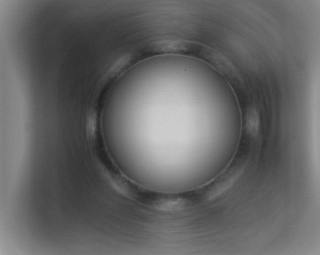 X0000113910206200909241516