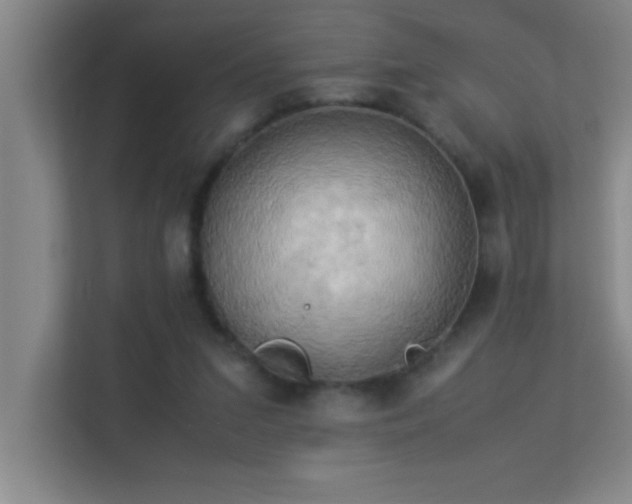 X0000113910207200909241516