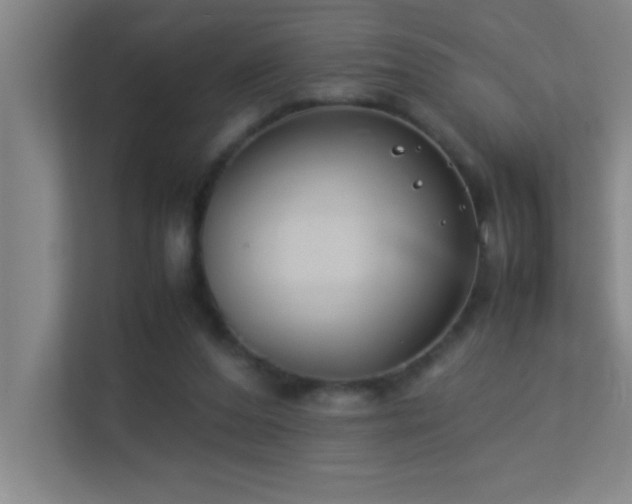 X0000113910208200909241516