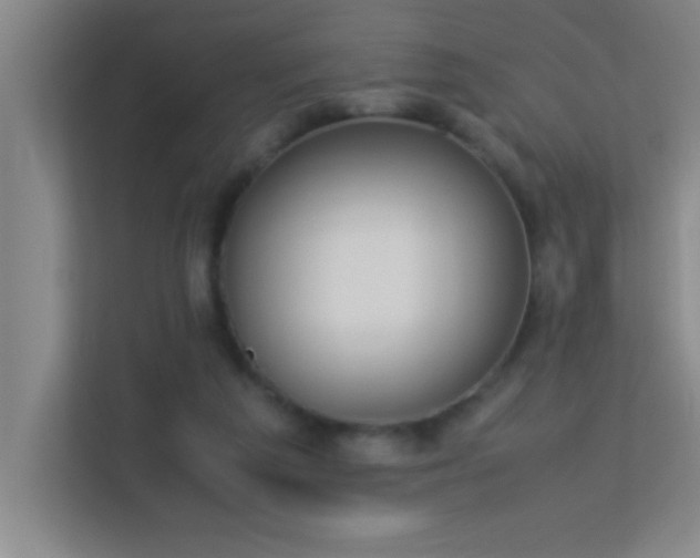 X0000113910209200909241516