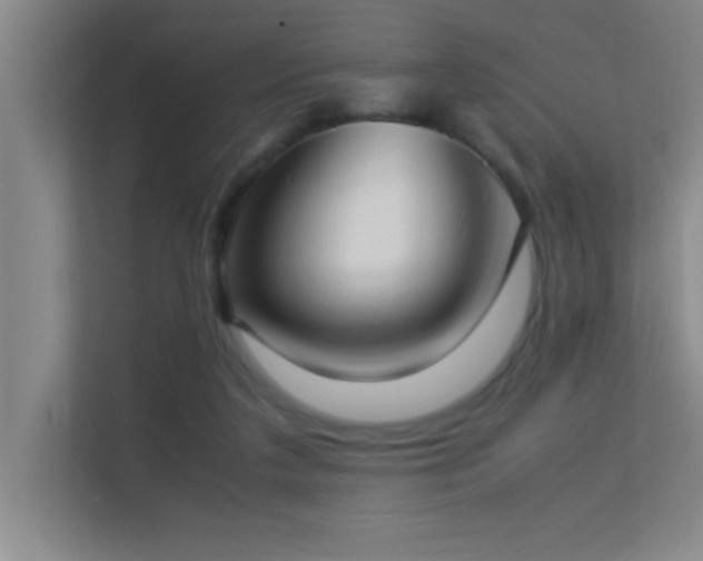 X0000113910211200909241516