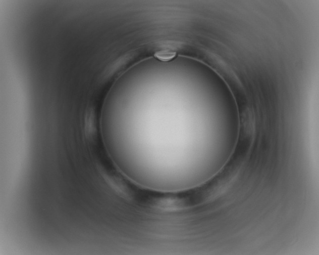 X0000113910212200909241516