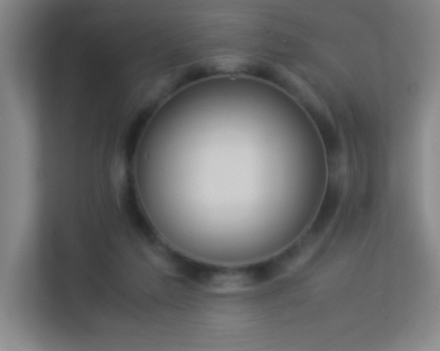 X0000113910213200909241516
