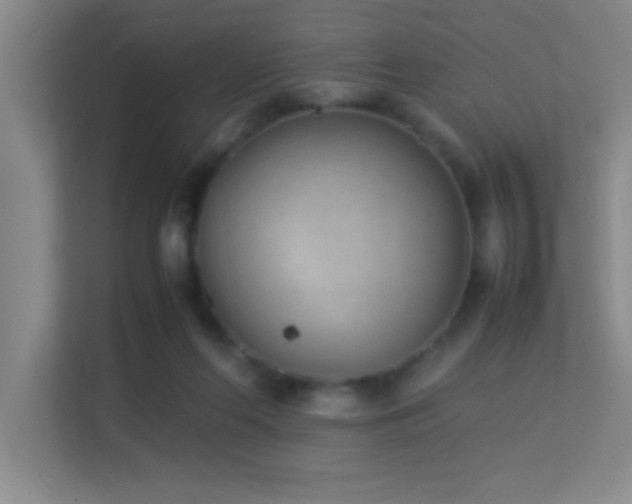 X0000113910214200909241516