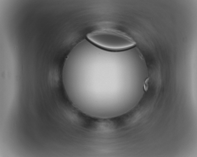 X0000113910215200909241516