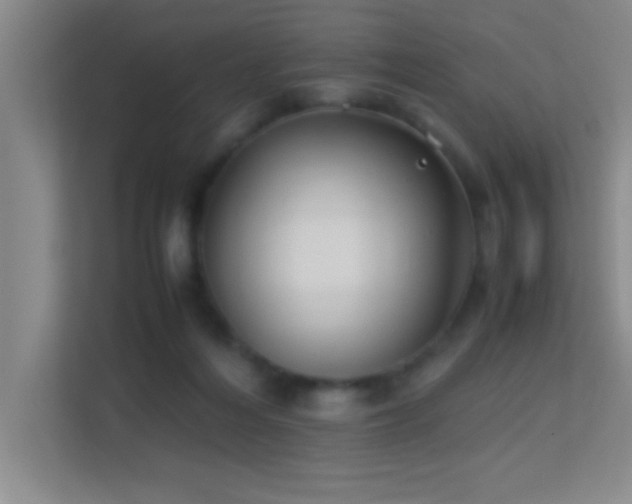 X0000113910216200909241516