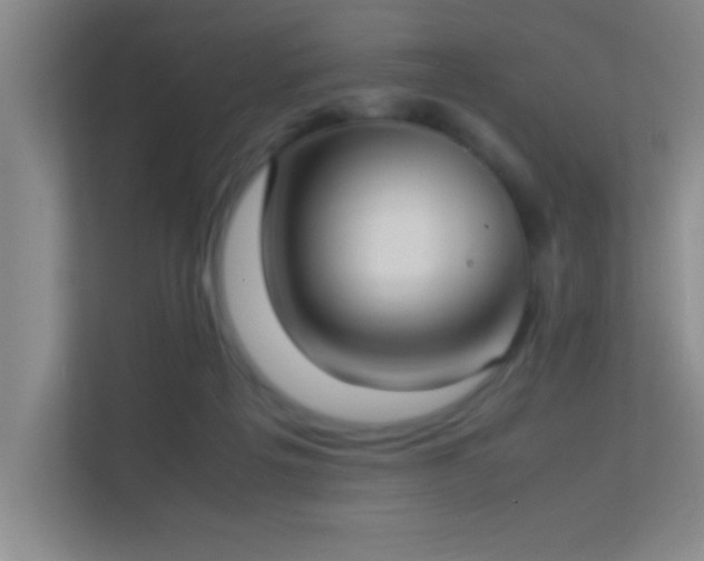 X0000113910217200909241516