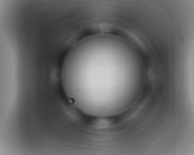 X0000113910218200909241516