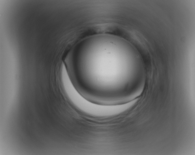 X0000113910219200909241516