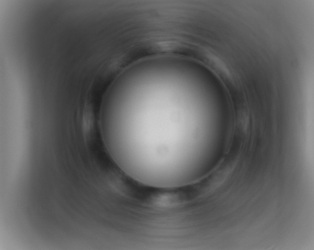 X0000113910220200909241516