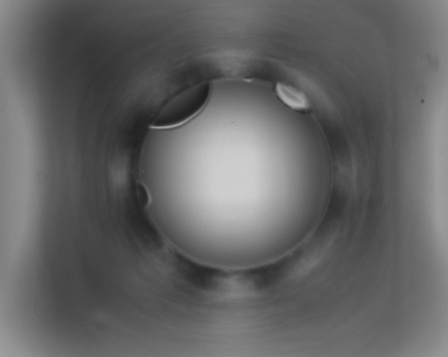 X0000113910221200909241516