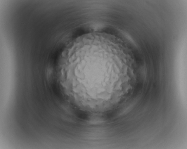 X0000113910222200909241516