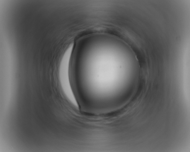 X0000113910223200909241516