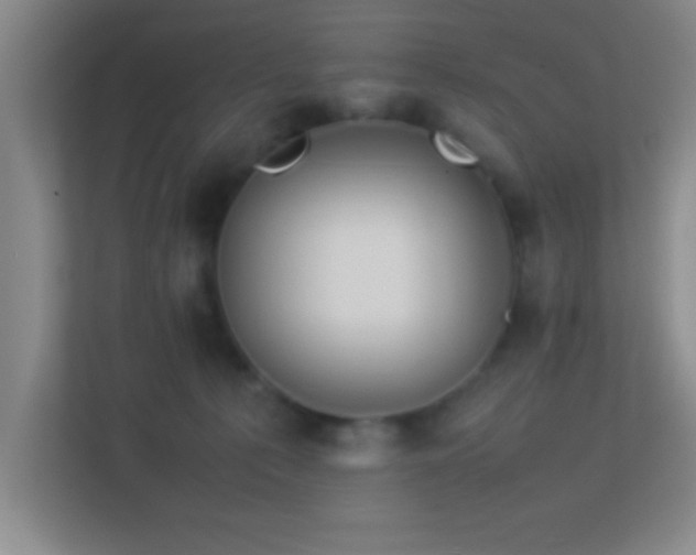 X0000113910225200909241516