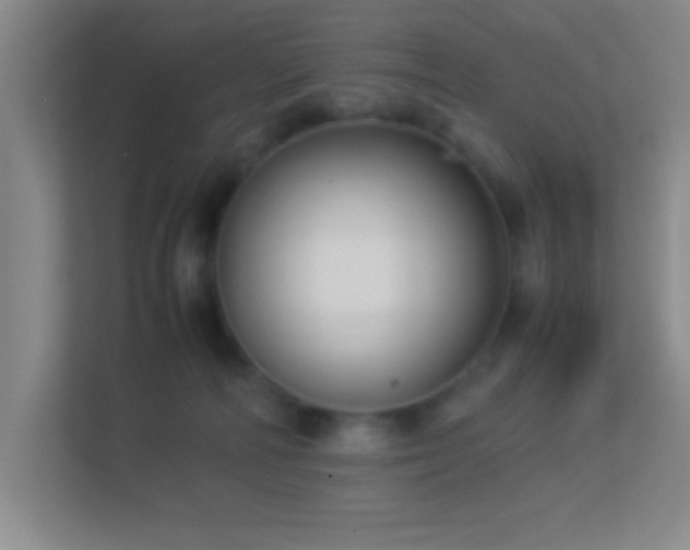 X0000113910226200909241516