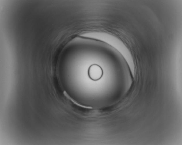 X0000113910227200909241516