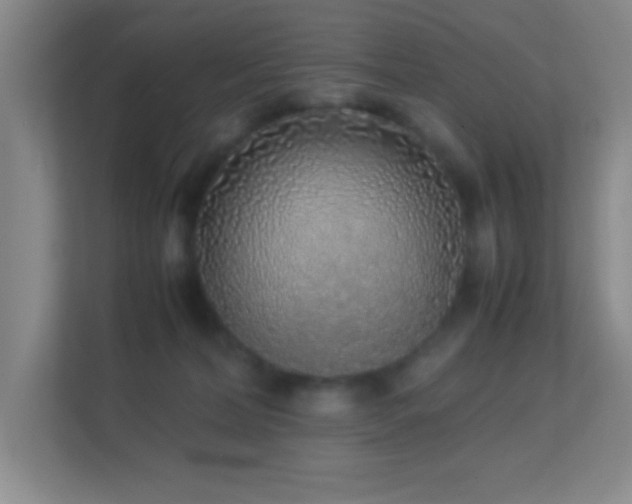 X0000113910228200909241516