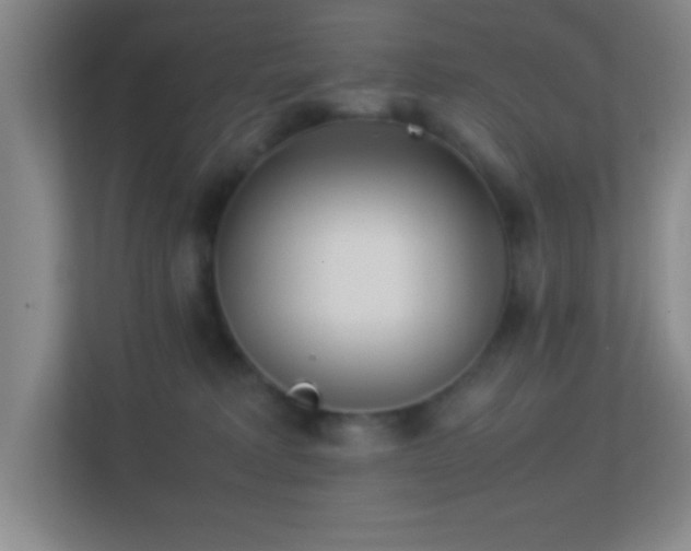 X0000113910229200909241516