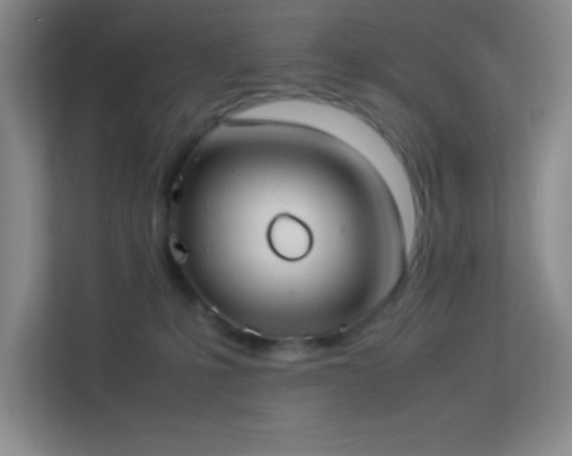 X0000113910231200909241516