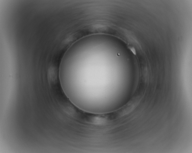X0000113910232200909241516