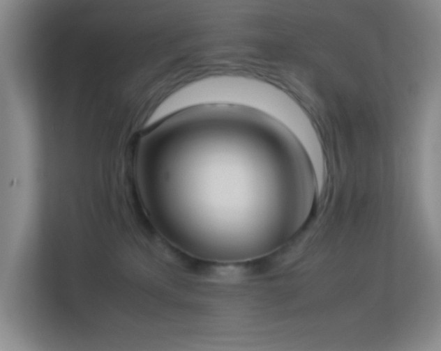X0000113910233200909241516