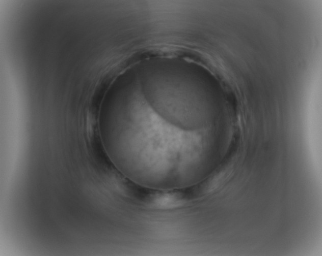 X0000113910235200909241516