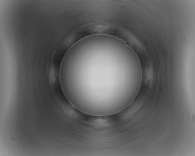 X0000113910236200909241516