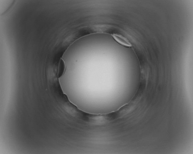 X0000113910237200909241516