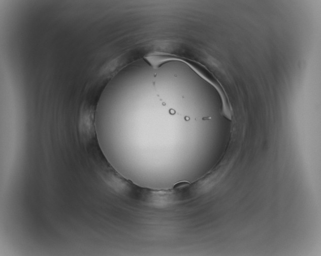 X0000113910240200909241516