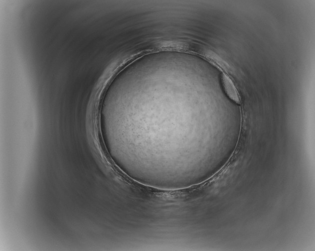 X0000113910241200909241515