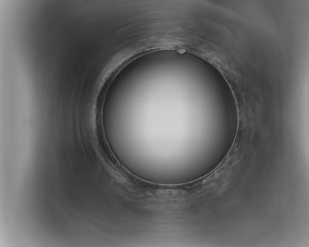 X0000113910242200909241515