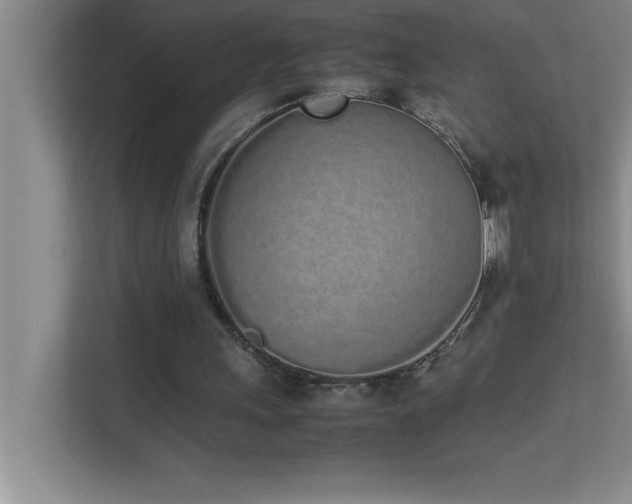 X0000113910243200909241515