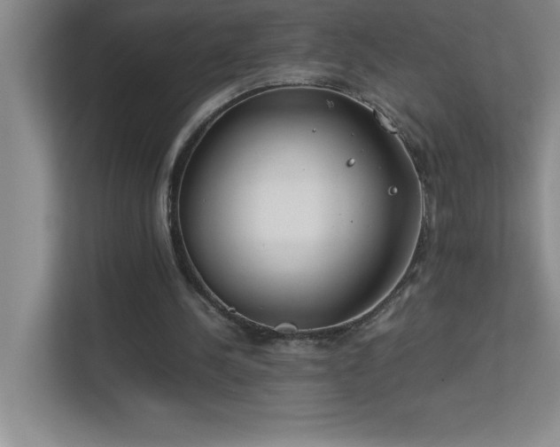X0000113910244200909241515