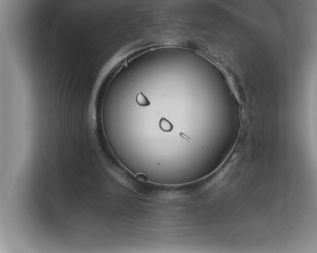 X0000113910246200909241515