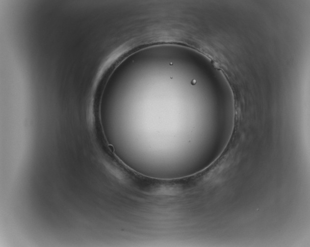 X0000113910248200909241515