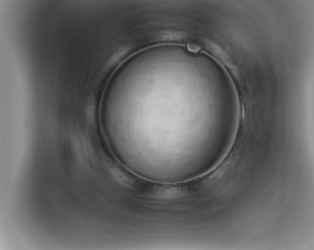 X0000113910249200909241515