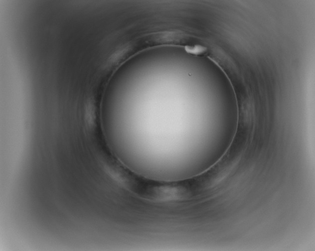 X0000113910255200909241515
