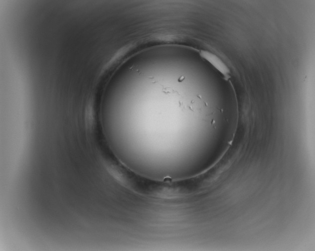 X0000113910256200909241515