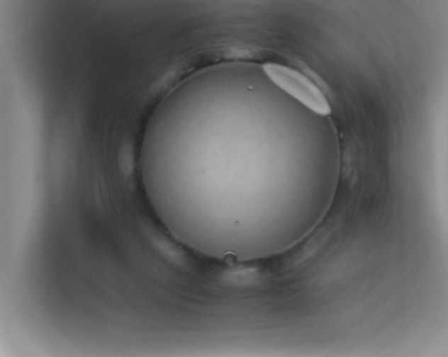 X0000113910257200909241515