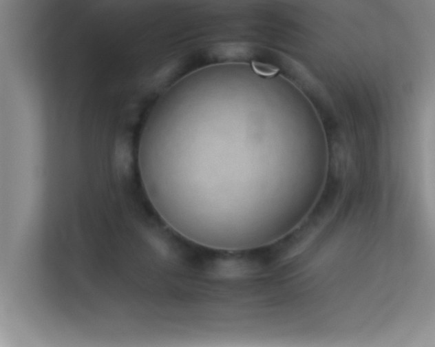 X0000113910259200909241515
