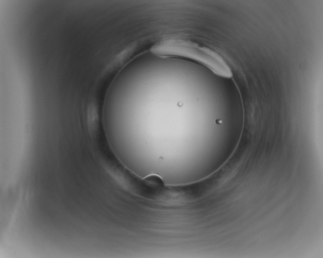 X0000113910260200909241515