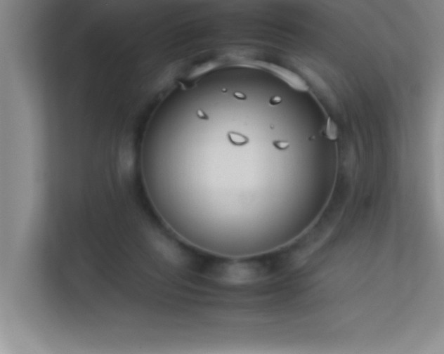 X0000113910261200909241515