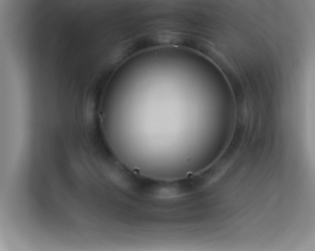 X0000113910263200909241515