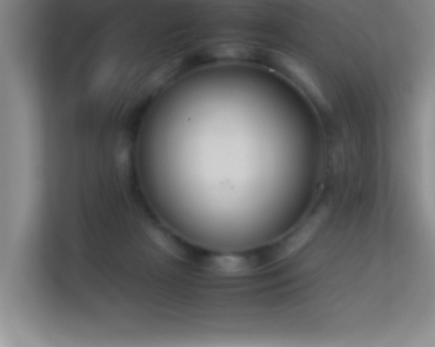 X0000113910265200909241515